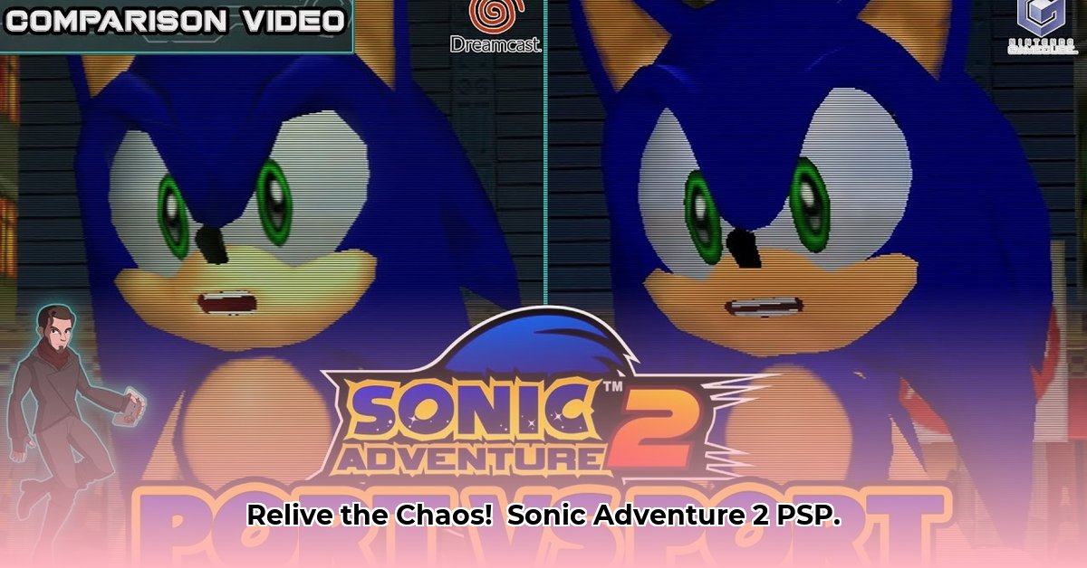 sonic-adventure-2-psp